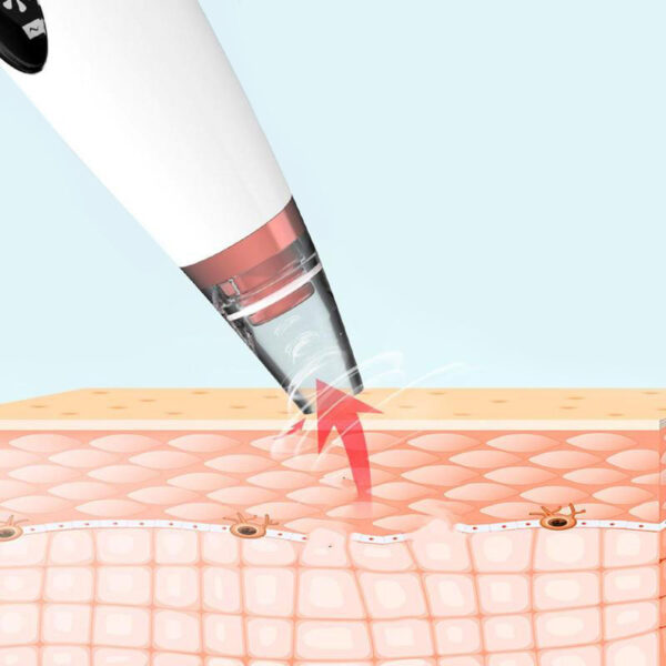 1442-b1cd6c.jpg 1442-b1cd6c.jpg