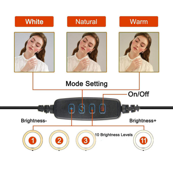 2056-bf3c21.jpeg 2056-bf3c21.jpeg